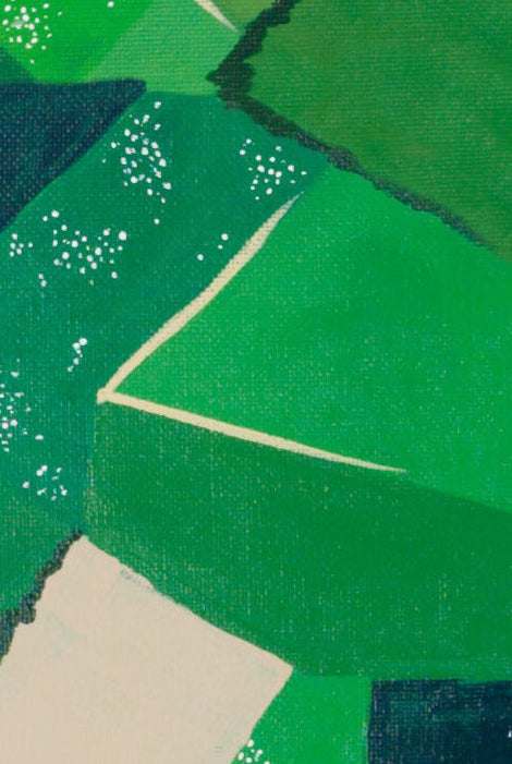 Close-up of a green fabric with geometric pattern of farmland